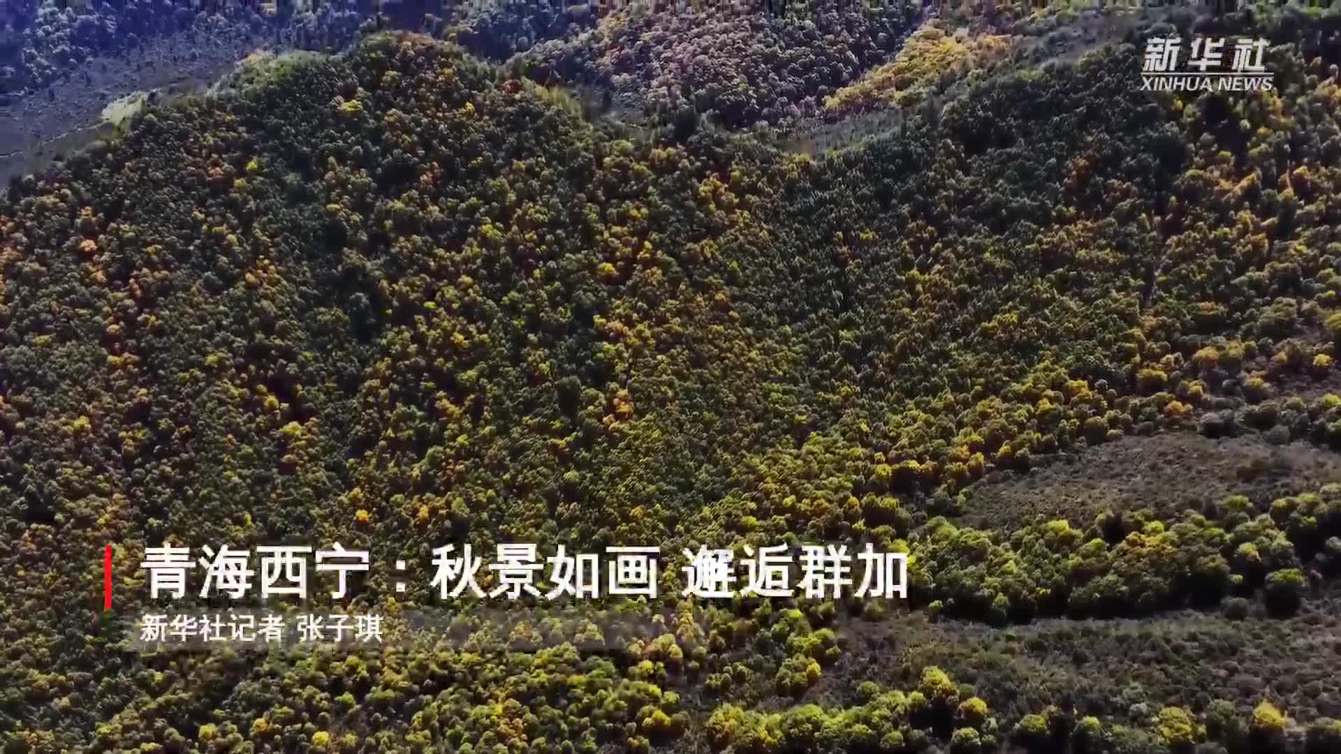 青海西寧：秋景如畫(huà) 邂逅群加