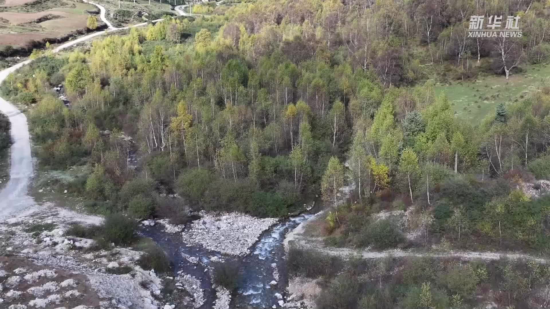 青海循化：山涧秋色浓