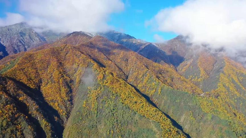 青海民和：層林盡染 疊翠流金