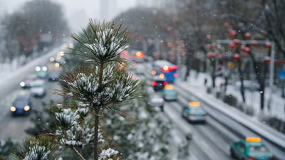 春雪落西寧